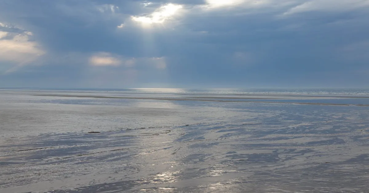 découvrez la baie de somme, un site naturel exceptionnel en france, idéal pour les amoureux de la nature, l'observation des oiseaux et les balades pittoresques en bord de mer.