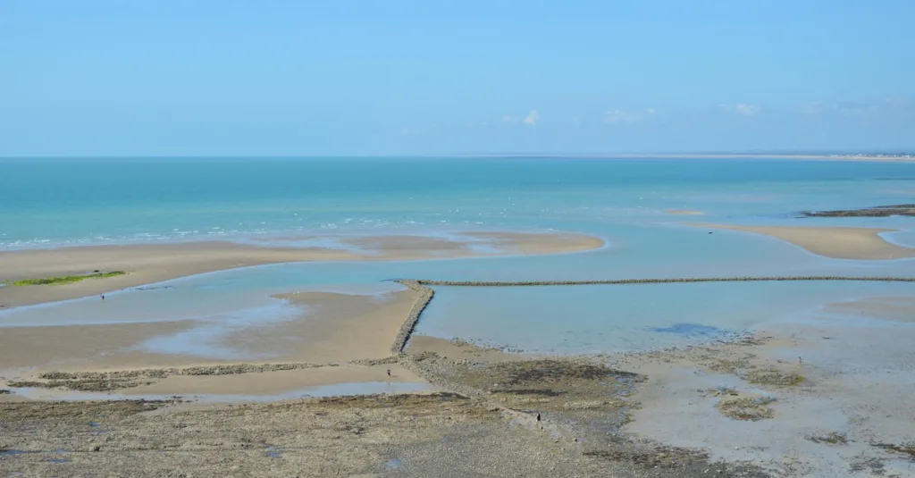découvrez la baie de somme, un site naturel exceptionnel en france, réputé pour sa biodiversité, ses paysages côtiers magnifiques et ses activités de plein air.