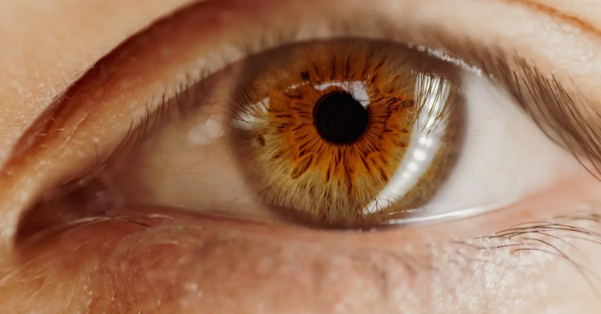 découvrez la rareté des yeux noisette, une couleur unique captivante et peu commune qui fascine par ses nuances chaleureuses et profondes.