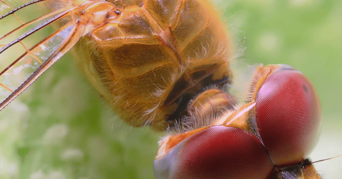 découvrez zonivizectrum, la solution innovante pour optimiser vos performances et transformer vos données en opportunités concrètes.