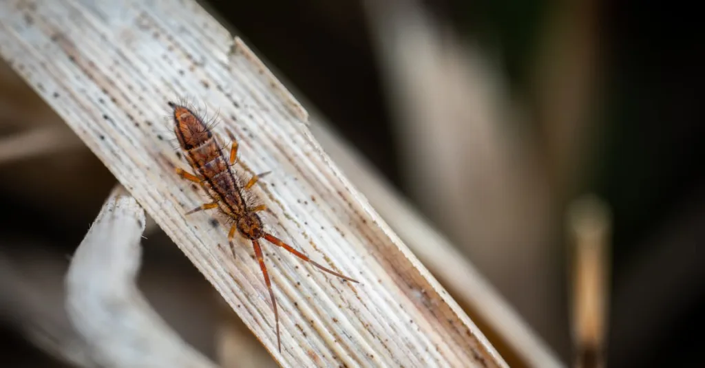zonivizectrum : découvrez une plateforme innovante alliant technologie avancée et solutions sur mesure pour optimiser vos projets.