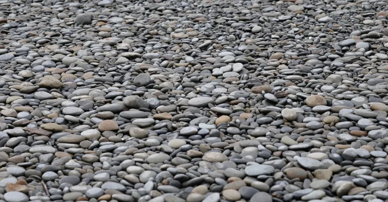 découvrez notre sélection unique de pierres naturelles et décoratives, idéales pour vos projets de jardinage, décoration intérieure et créations artisanales.
