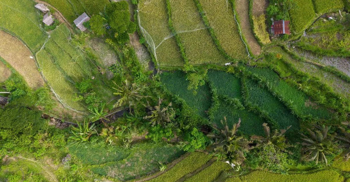 découvrez l'agriculture durable : des pratiques respectueuses de l'environnement pour préserver les ressources naturelles, promouvoir la biodiversité et assurer une production alimentaire responsable et durable.