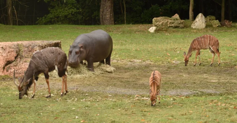 découvrez les clés d'une coexistence harmonieuse pour vivre ensemble en paix et respect mutuel.