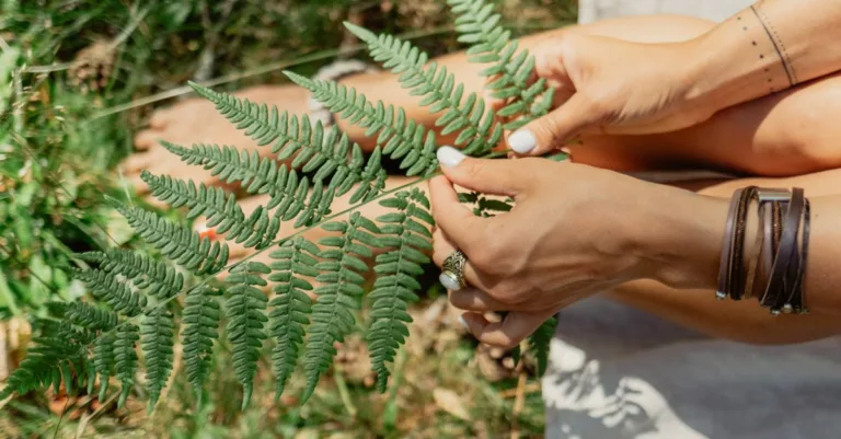 adoptez un mode de vie naturel pour améliorer votre bien-être au quotidien grâce à des habitudes saines et respectueuses de l'environnement.